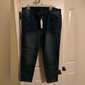 Universal Standard Seine High Rise Skinny Jeans 27 Inch size 16 NWT